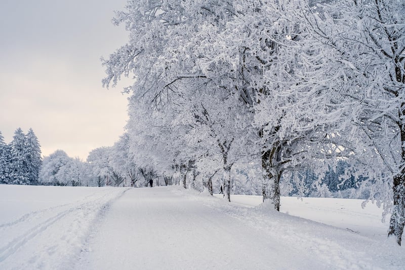 Naturalistic Landscapes